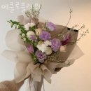 에클로플라워 이미지