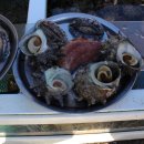 제주해녀횟집 이미지