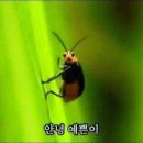 신일자동차 이미지