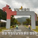 영월 펫힐링 달빛동물원 캠핑장 후기 | 아이들과 동물 먹이주기, 승마체험까지 즐긴 완벽한 키즈캠핑