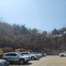 찬영축산 | 양산 가볼만한 곳 홍룡폭포와 통도사 홍매화 산수유 꽃구경