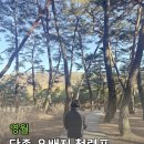 11500-19-39-05 | 왕과사는남자 영화 촬영지 영월 청령포 단종 유배지