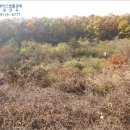 기암보건진료소 네이버블로그