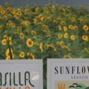 하동못안마을 이미지