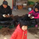 동윤농장 이미지