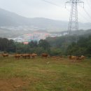 백호농장 이미지