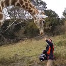 기린PC방 이미지