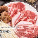 고잉메리을지트윈 이미지