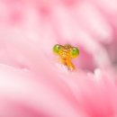 헤세드동물병원 이미지