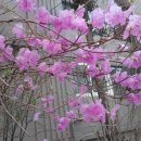 신발신고 이미지