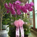 김이중축사 | 2148-1000, 100, 온고지신