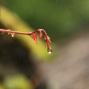 석수가든 - 광주시 | 석수가든