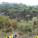 용은산 네이버블로그