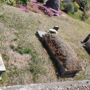 남해추모누리묘지 이미지