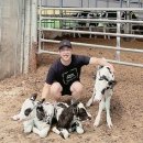 영근목장 이미지