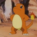 개귀여워 이미지