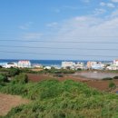 제주감성숙소 월정연가 이미지