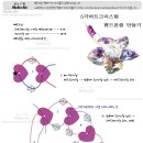 (비즈공예배우기무료도안) 5각하트크리스탈 핸드폰줄만들기 이미지