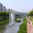 안산천동로1 이미지