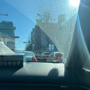 정관장홍삼기장점 | 연말 코스트코 장보기
