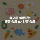 에프앤디식품