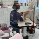 세븐일레븐 수영3호점 | 수영동애견미용 ‘쁘띠몽펫샵’ 가위컷 장인의 손길로 견생샷 건진 날!