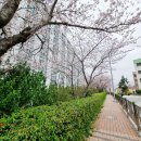 스마트폰 활용 교실 이미지