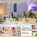 고양이 부부 | 노원고양이분양 후 과학자 부부의 집