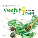 평화로04 이미지