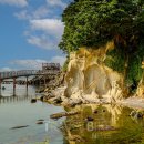 2023 전시공간 활성화 지원 사업 <숲길을 걸으며>展 이미지