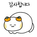대동밀면 이미지