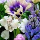 방배로 115 이미지