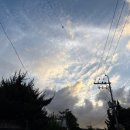 환희2농장 | <내 이름은 빨강> 독서모임 후기. 오르한 파묵