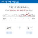 대규 이미지