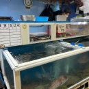 남해회수산 이미지