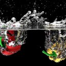 장기 주유소 화장실 이미지