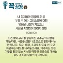 콩깍지
