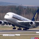 중국동포행정사사무소 이미지