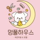 멍풀하우스 이미지