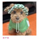 브로우날다 이미지