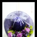 탑 웰빙하우스 이미지