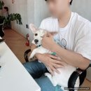 부산 시청 글루텐프리 빵 실내애견동반 카공 카페 엘더프랑 내돈내산 후기
