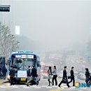 강남대로 이미지