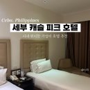 트윈캐슬 | 세부 9 : 위치 좋은 1박용 시내 가성비 호텔 캐슬 피크 디럭스 트윈룸 후기