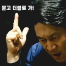 내 강아지의 봄 일산애견유치원&애견호텔 이미지