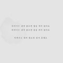 아이소미