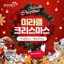 (주)미라클트리 이미지