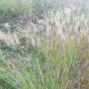 재미있는 한자 이미지