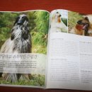 노블하우스 이미지