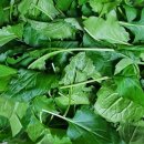 부지깽이 이미지